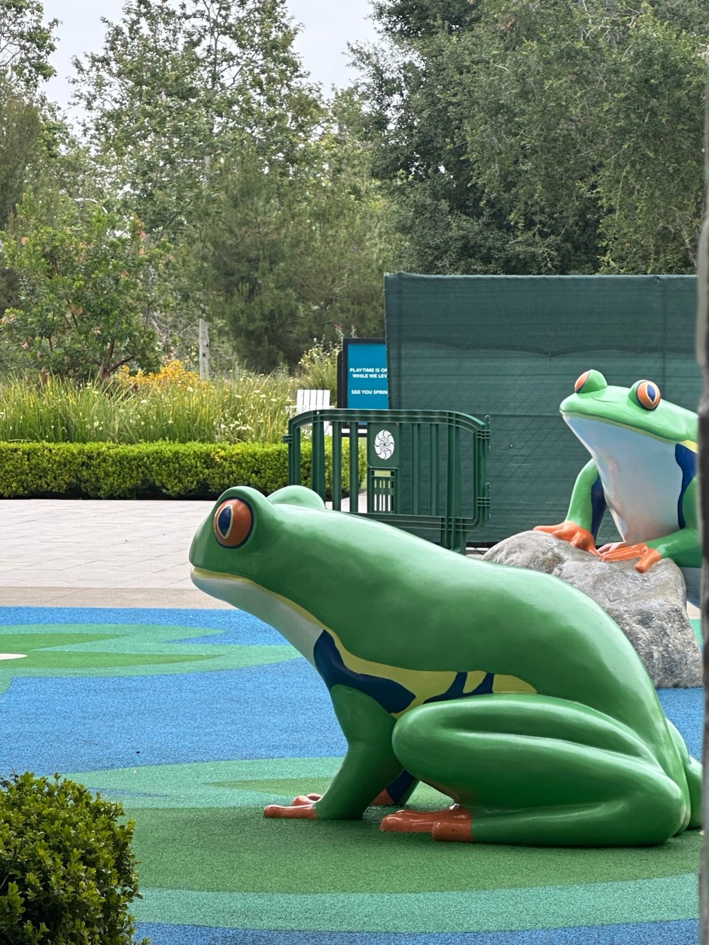 Frogs